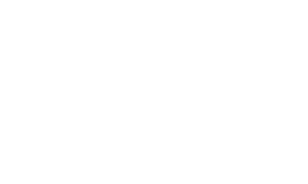 badwrong_logo